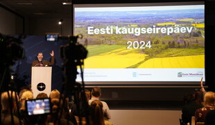 Eesti kaugseirepäev 2024